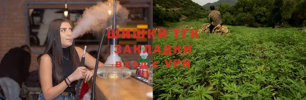 мяу мяу мука Абаза