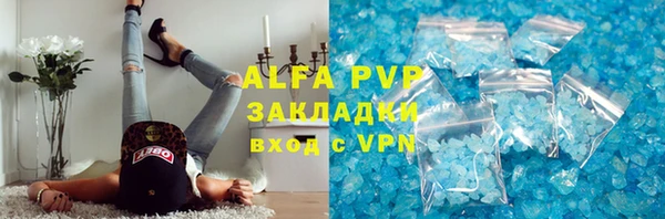 ПСИЛОЦИБИНОВЫЕ ГРИБЫ Касимов